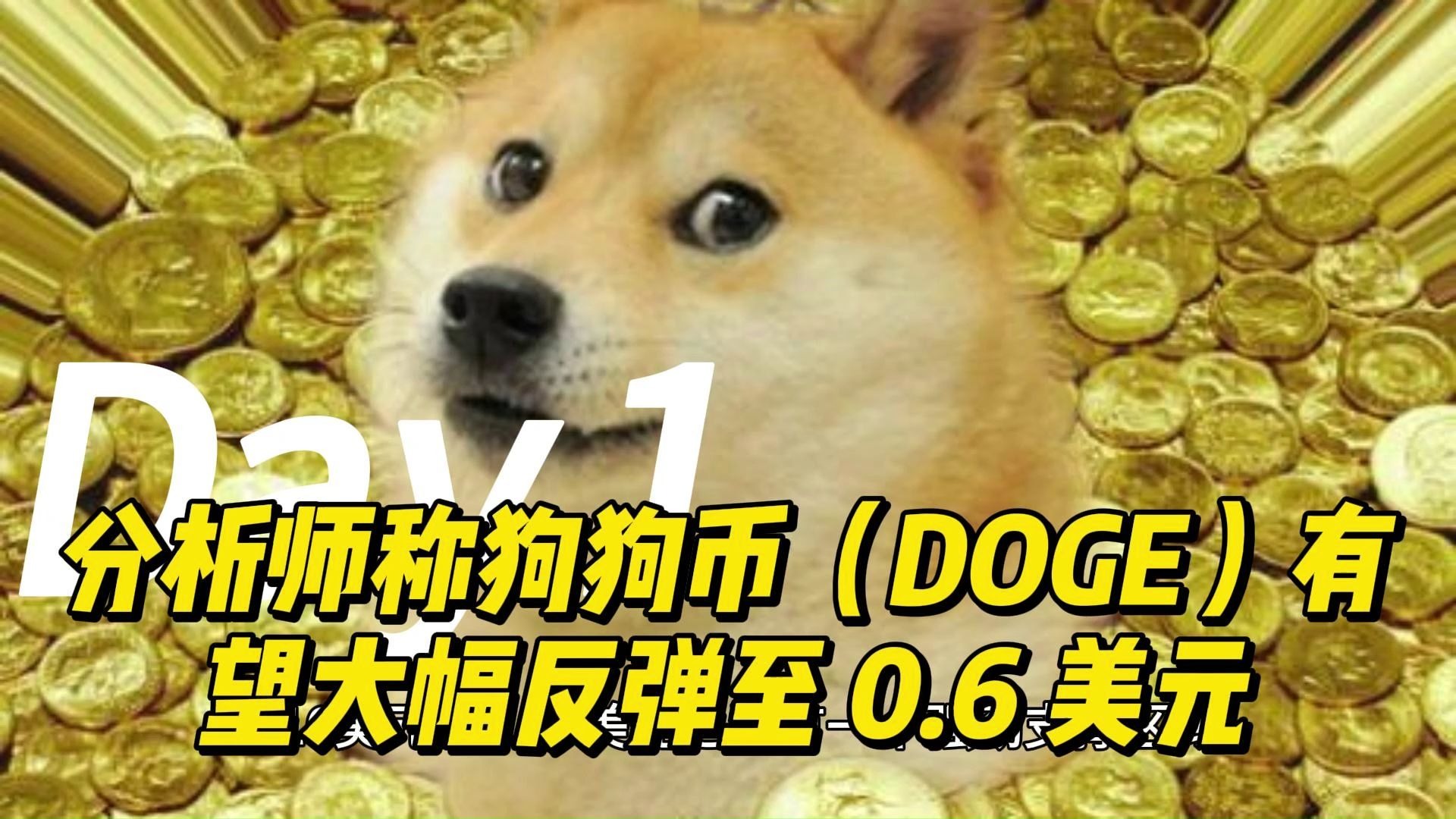 爱游戏 在线-狗狗币遭遇大幅下滑超383%，投资者恐慌性抛售的简单介绍