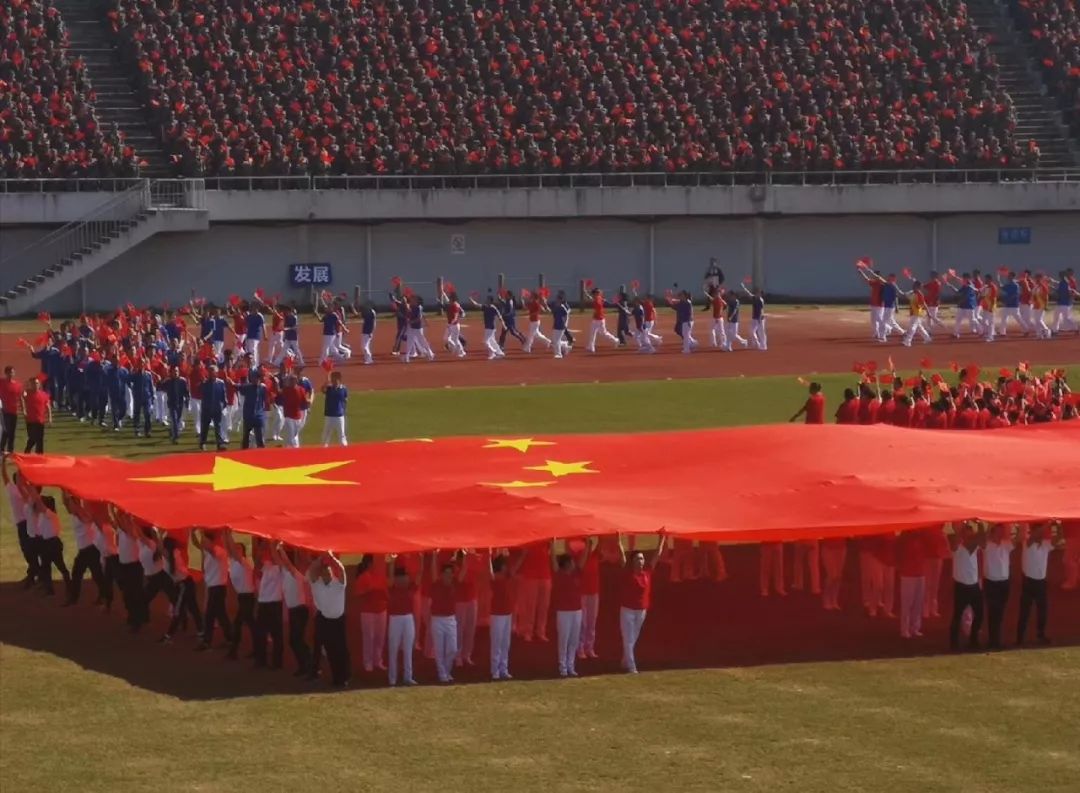 庐州雄鲨队守住胜果胶东山猫队，游泳淘汰赛上演裁判判罚引热议！边后卫成为亮点